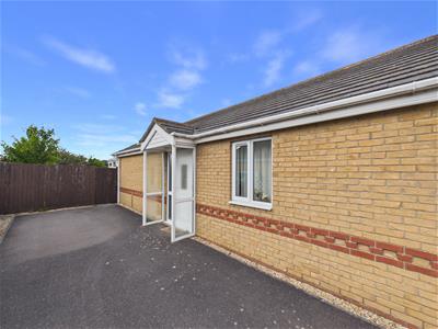 Picture 21